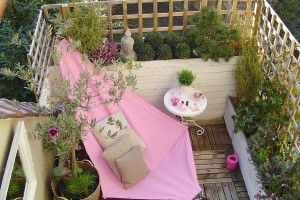 jardin 11